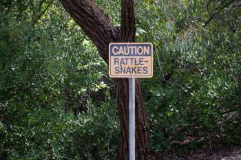 A caution sign for rattlesnakes.