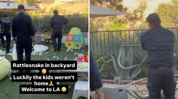 Three individuals in uniforms attend to a rattlesnake in a backyard filled with toys and decor.