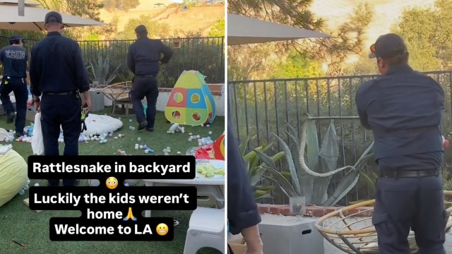 Three individuals in uniforms attend to a rattlesnake in a backyard filled with toys and decor.