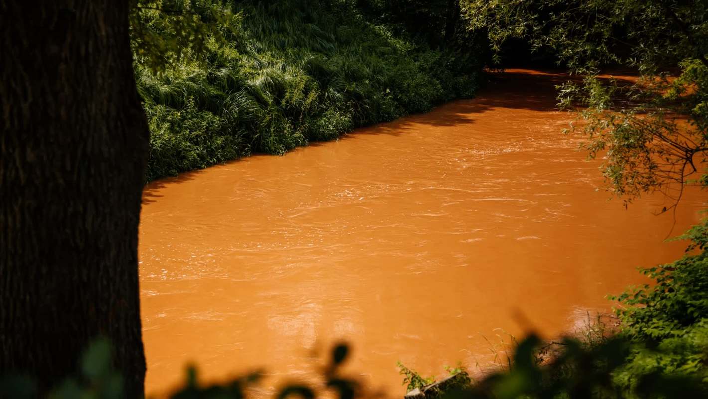 A river with orange water flowing beside lush greenery.