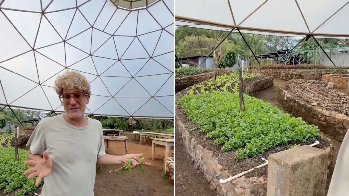 A man stands under a domed greenhouse with plants growing in raised beds around him.