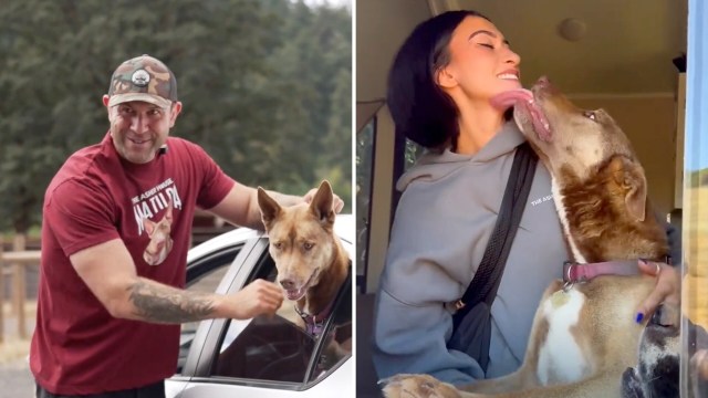 A man interacts with a dog outside a car, then the dog licks a woman's face.
