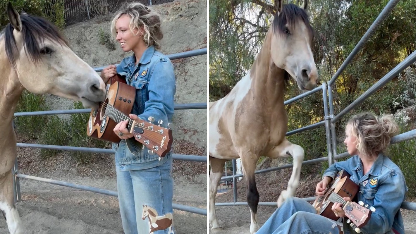 A woman plays guitar while a horse investigates her.