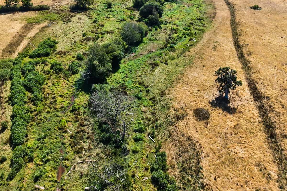 Aerial view of a split landscape with green vegetation on one side and dry, brown terrain on the other.