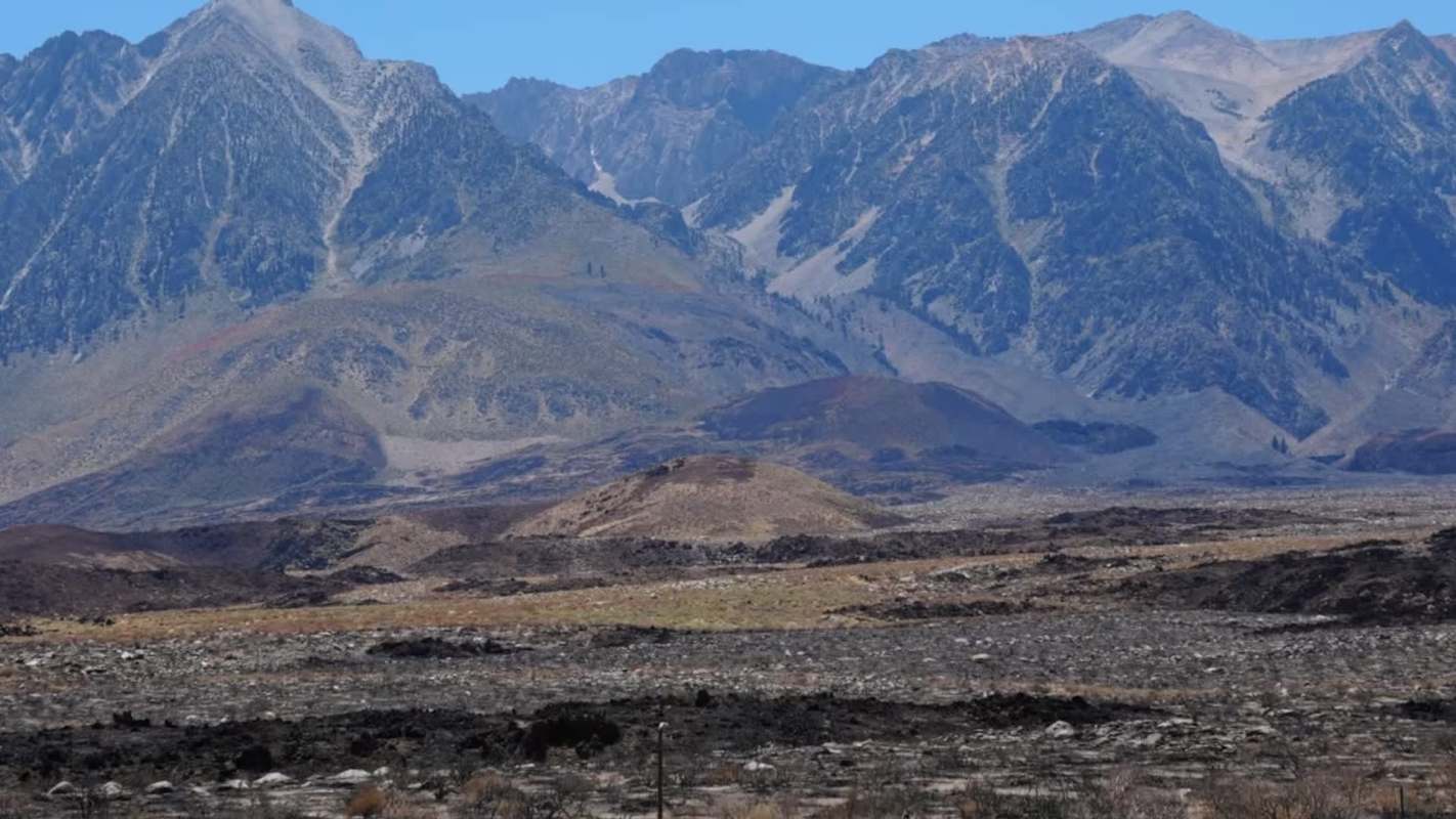 A burnt landscape in the Inyo National Forest.