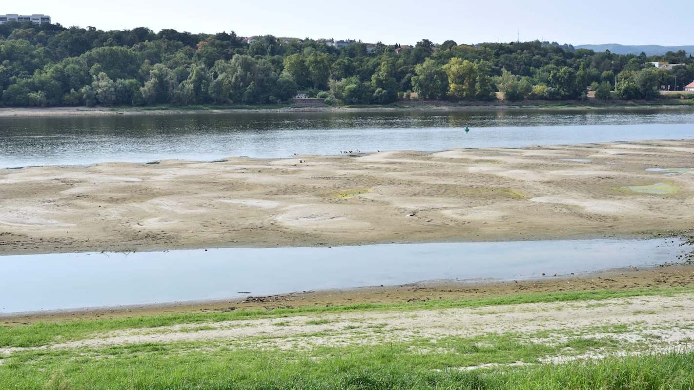 A low, sandy riverbank with occasional patches of water and green grass, surrounded by trees in the background.