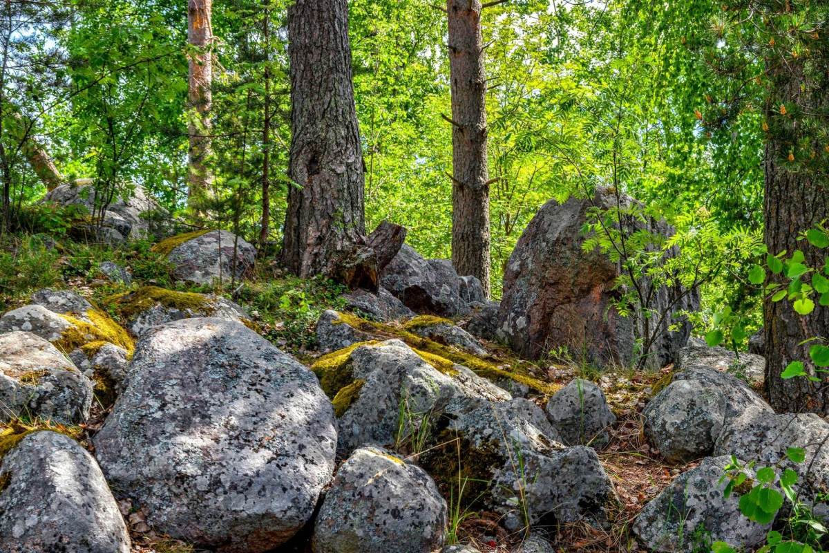 Rocks on a hillside.