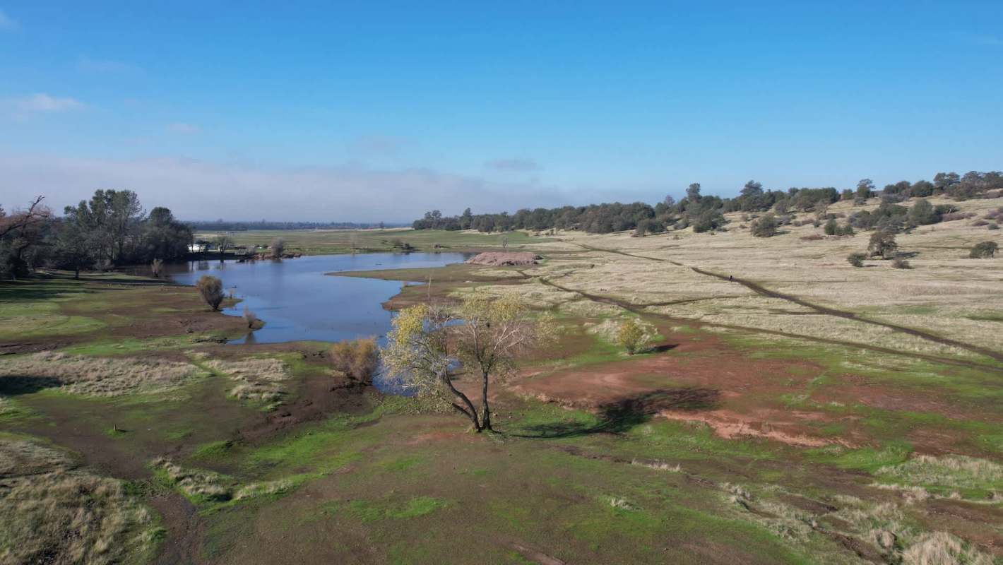A park around a body of water.
