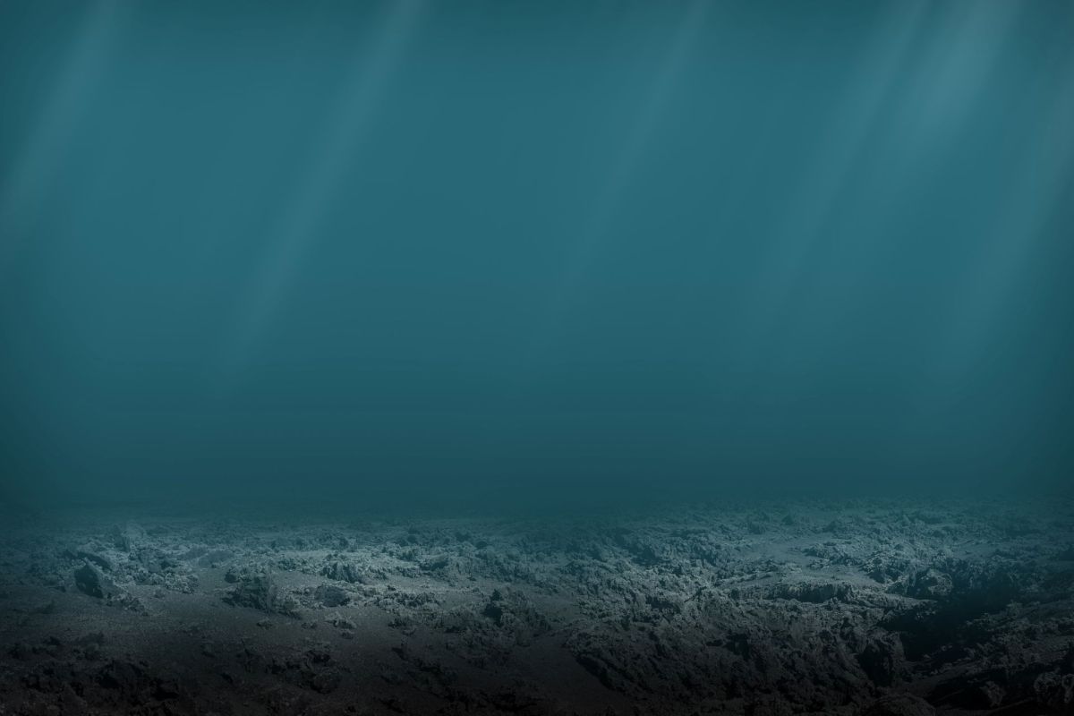 The sea floor.