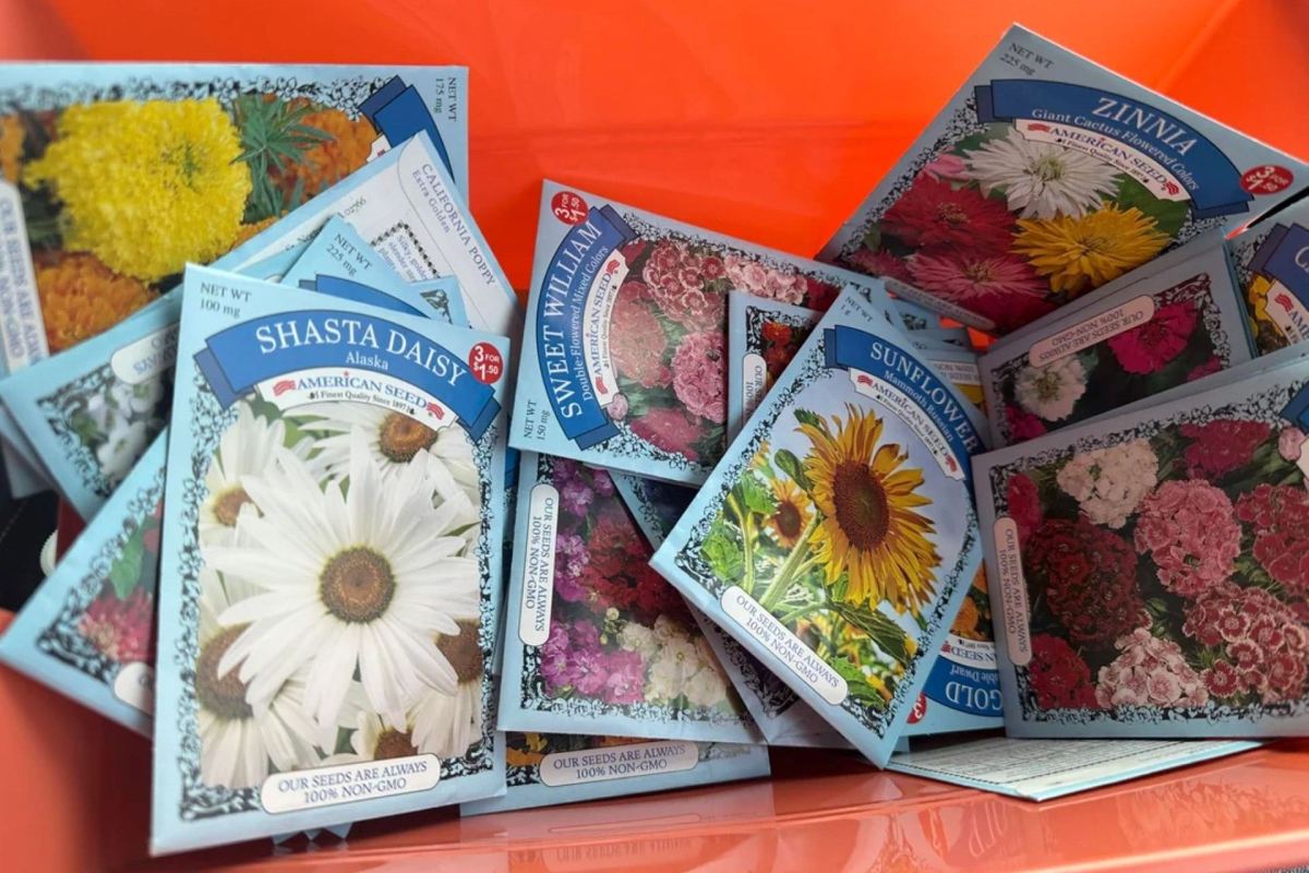 A bin full of seed packets.