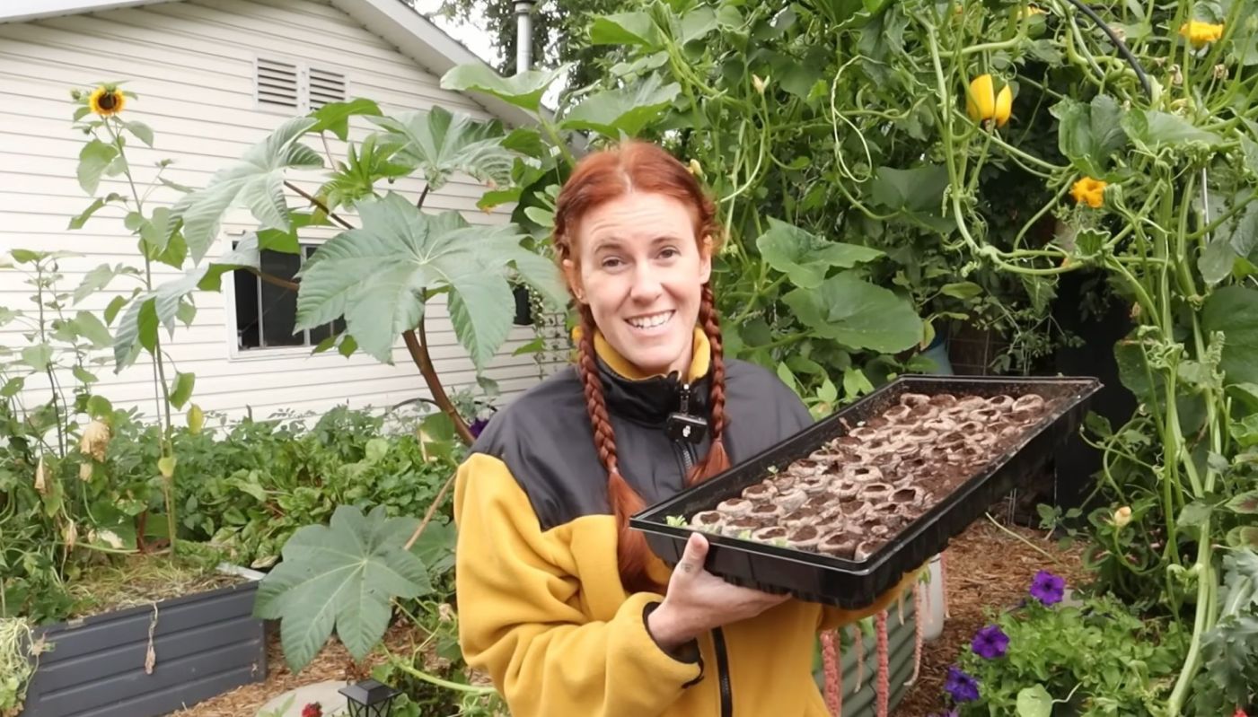 A gardener holding seedlings.
