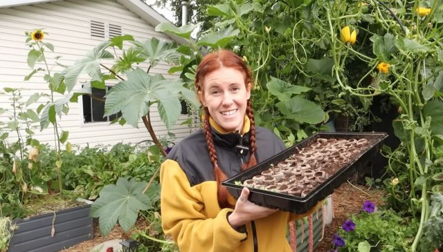 A gardener holding seedlings.