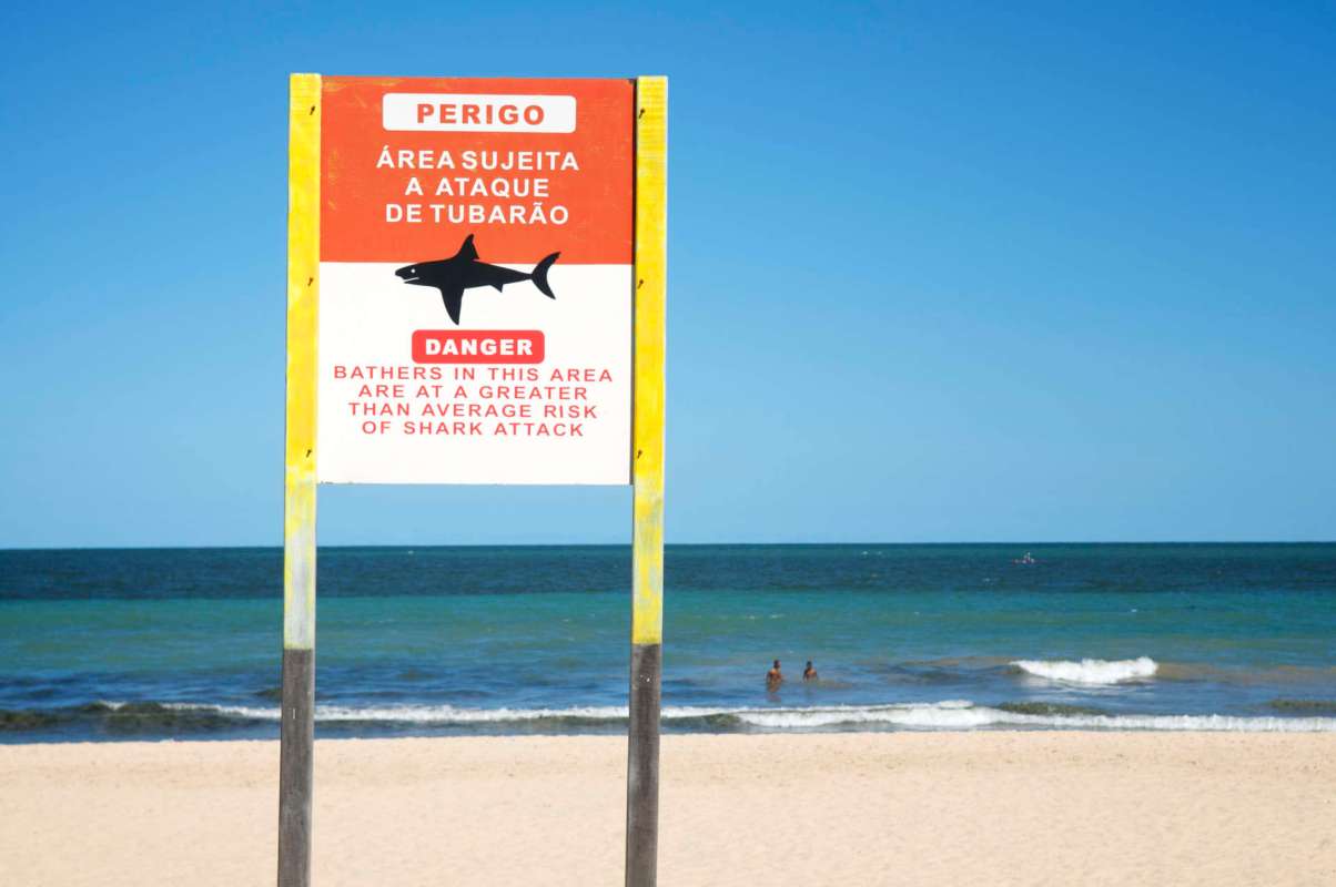A warning sign at the beach indicates a greater risk of shark attacks in the area.
