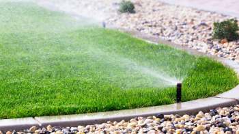 A sprinkler watering a green lawn bordered by pebbles.