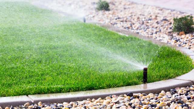 A sprinkler watering a green lawn bordered by pebbles.