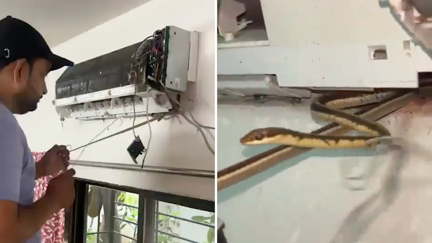 A man inspects an air conditioning unit with wires and a snake visible nearby.