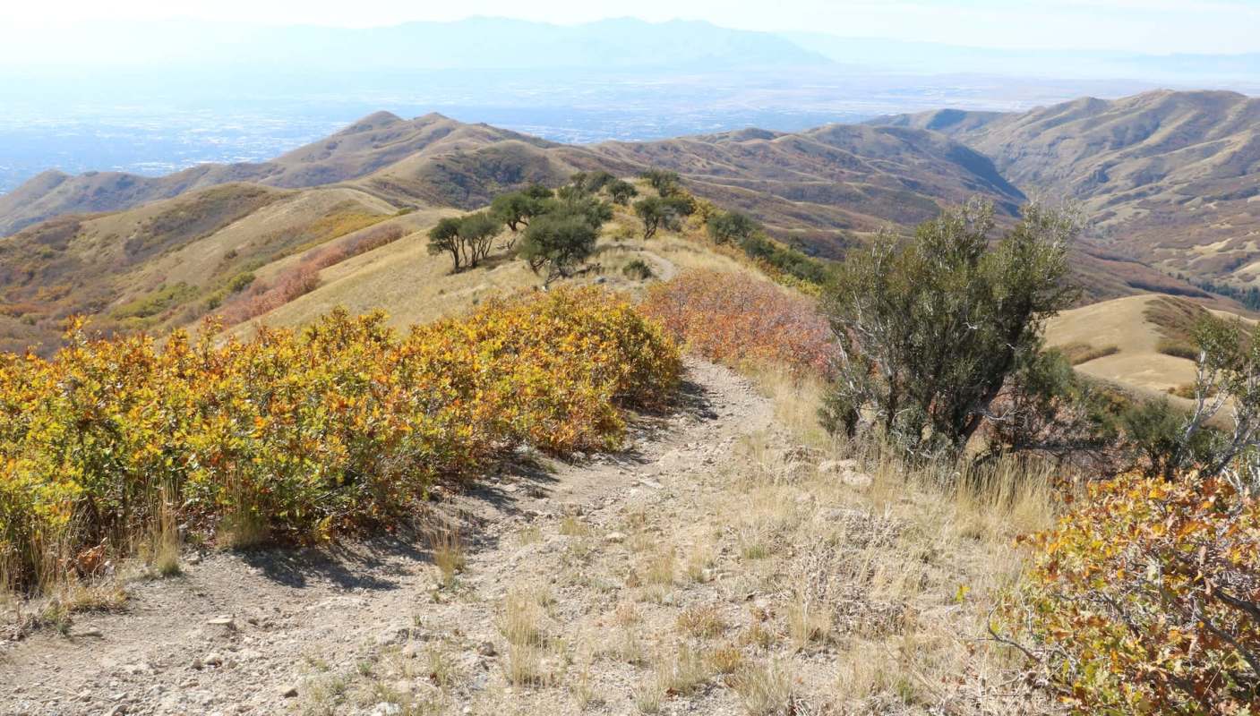 A winding trail through rolling hills with autumn foliage and distant mountains.