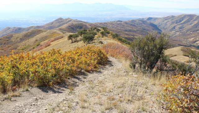A winding trail through rolling hills with autumn foliage and distant mountains.