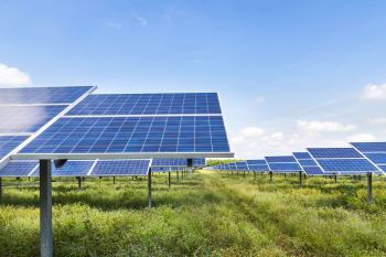 A solar farm.