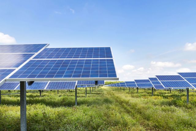 A solar farm.