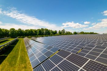 A solar farm.