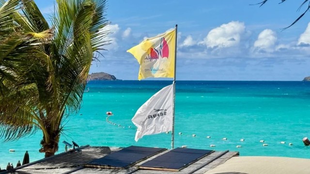 A view of a beach with blue water, flags, palm trees, and solar panels in the foreground.
