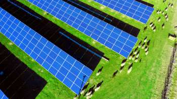 A solar panel field with sheep grazing on the green grass nearby.