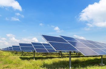 A solar farm.