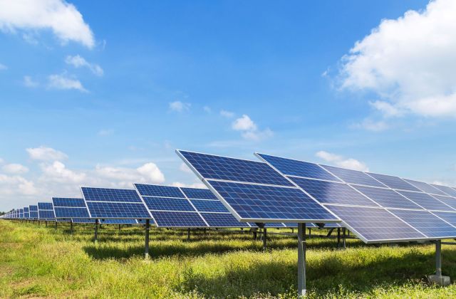 A solar farm.
