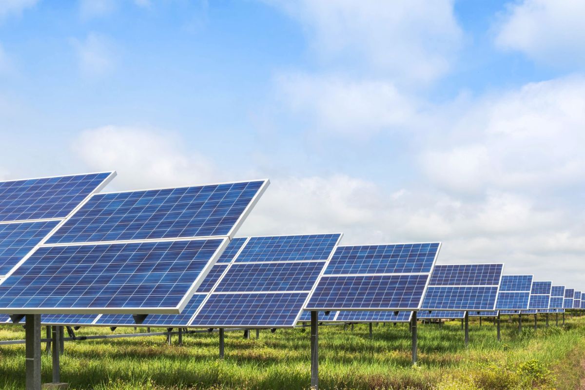 A farm with solar panels.