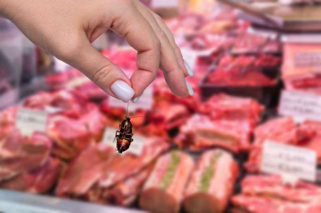 A hand holds a cockroach above a display of various meats.