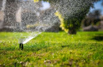 A sprinkler watering a lawn.