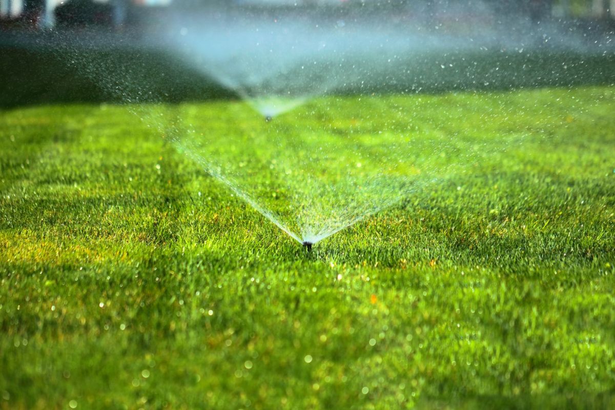 Sprinklers on a lawn.