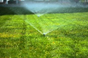 Sprinklers on a lawn.