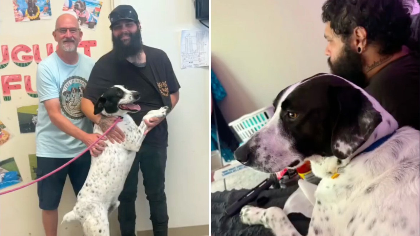 Two men with a dog in a shelter setting, and a dog sitting next to a man at home.
