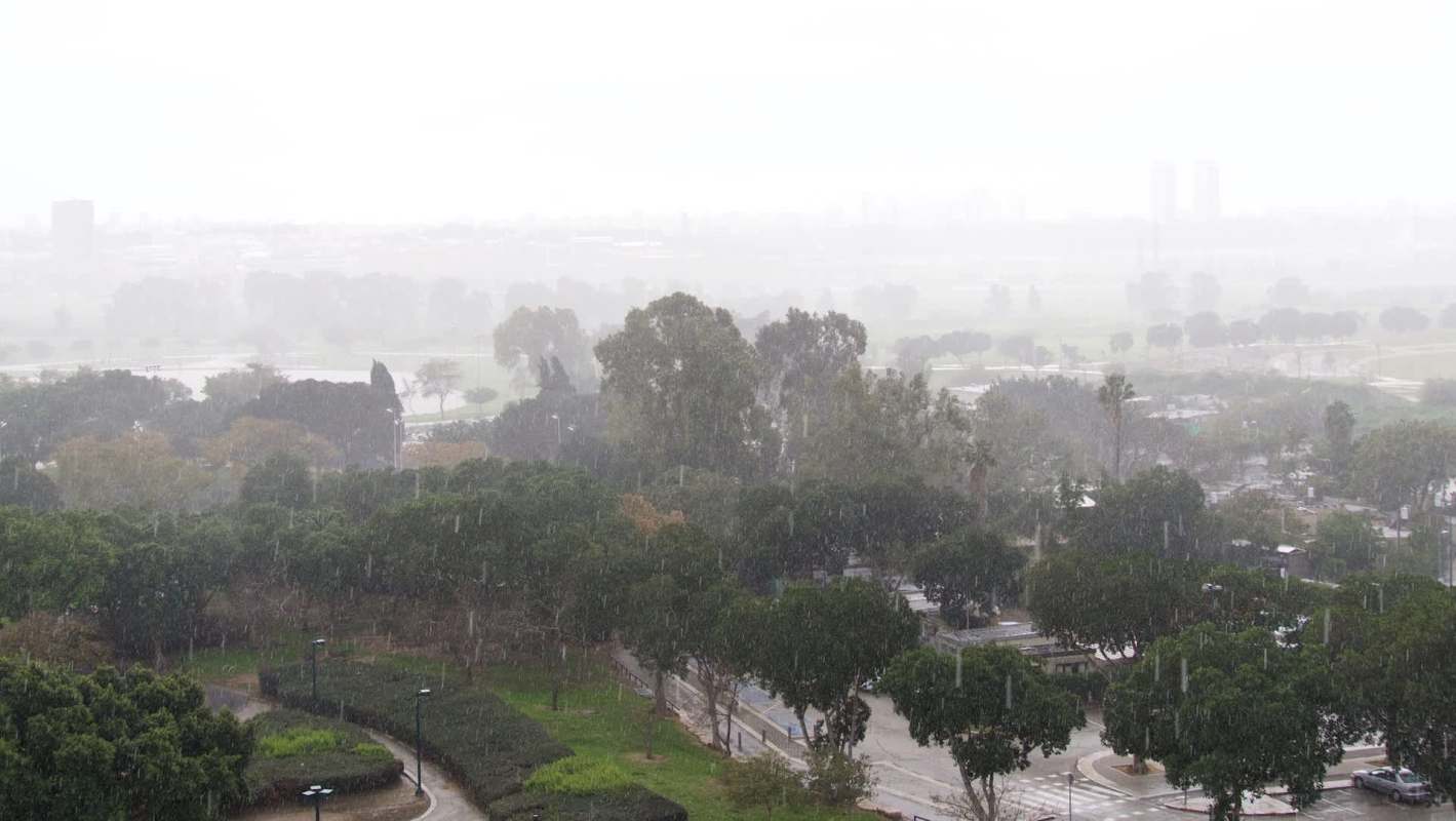 A rainstorm.