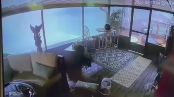 A sunroom before a microburst.