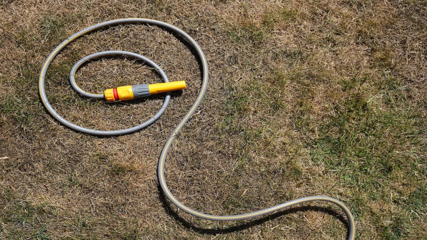 A garden hose on the ground.