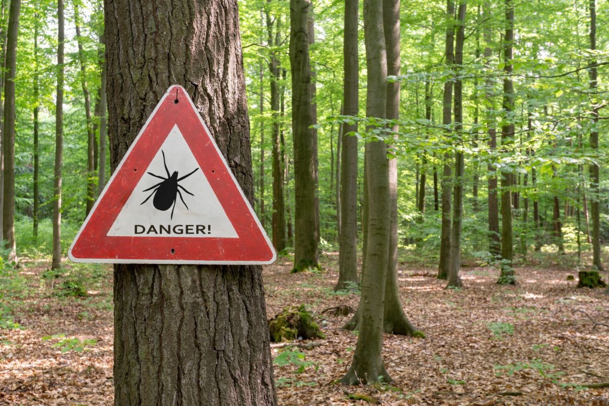 A tick warning sign.