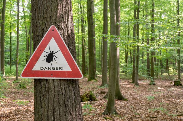 A tick warning sign.