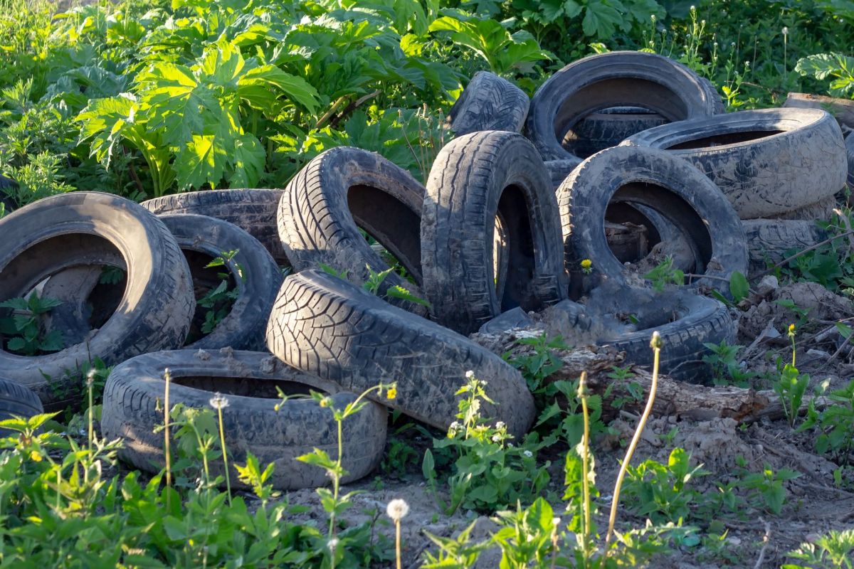 A pile of discarded tires surrounded by weeds and small plants.