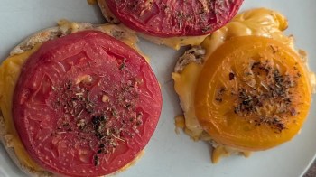 Three toasted English muffins topped with melted cheese and slices of red and yellow tomatoes, seasoned with herbs.