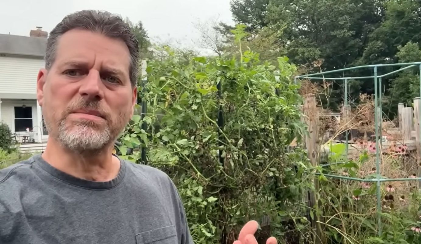 A man standing in front of tomato plants.