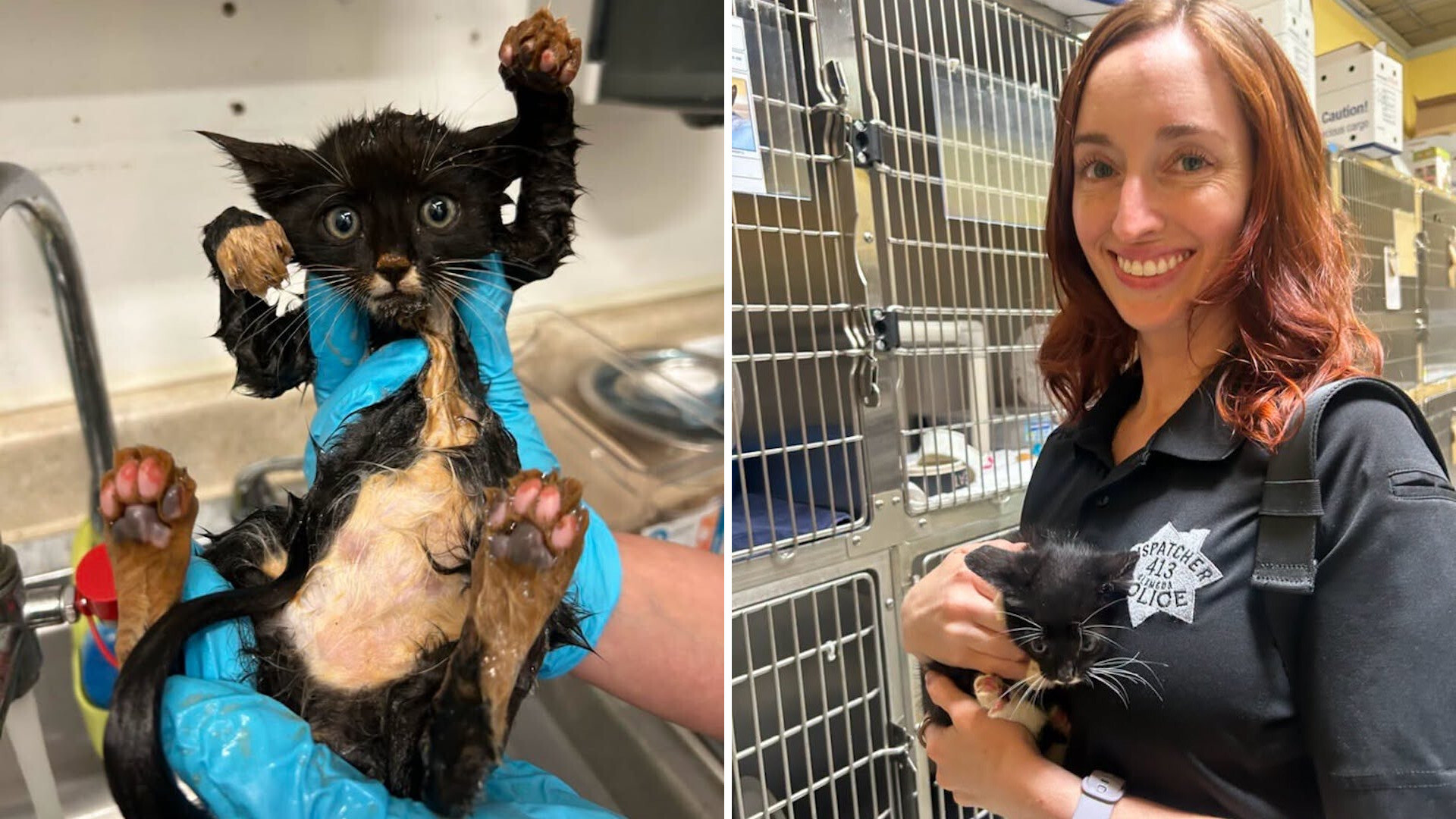 California officer rescues terrified tuxedo kitten from 10-foot-deep rusted pipe