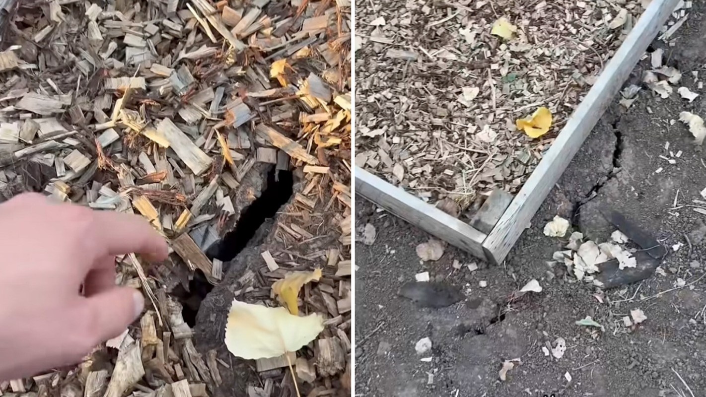 A diptych of cracks in the dry soil of a garden.