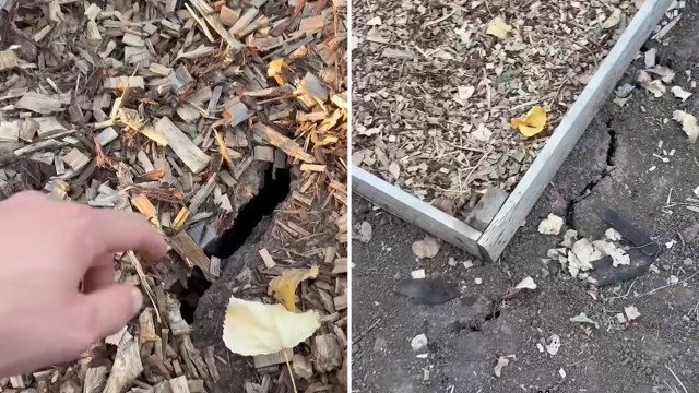 A diptych of cracks in the dry soil of a garden.