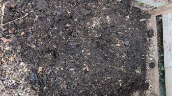 A pile of dark, moist compost containing organic matter and small pieces of wood.