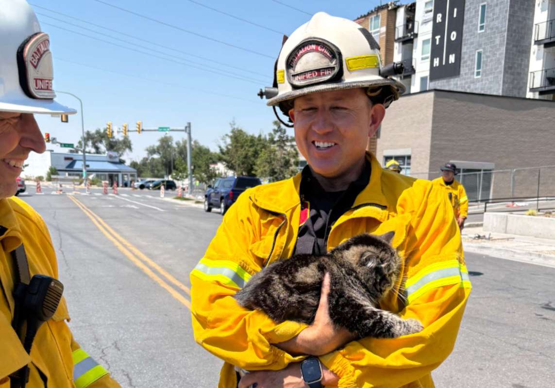 A firefighter holding a rescued cat in a street with buildings in the background.