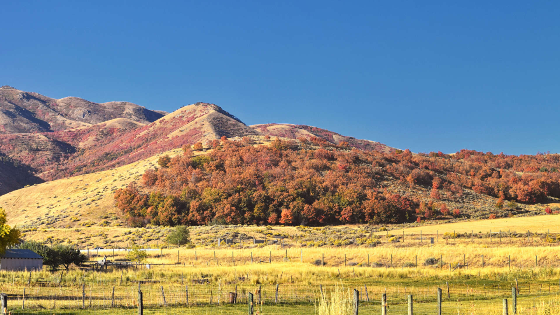 Utah governor calls Box Elder data center review 'not good,' demands major board reform