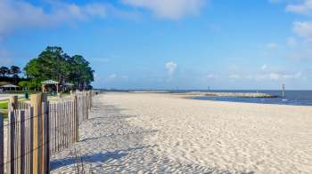 A sandy beach with a wooden fence, trees, and a view of a calm ocean under a blue sky.